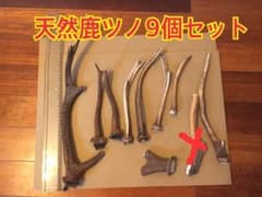 一本当たり400円！不揃い天然鹿の角のサムネイル