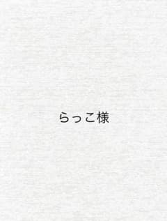らっこ様　専用ページのサムネイル