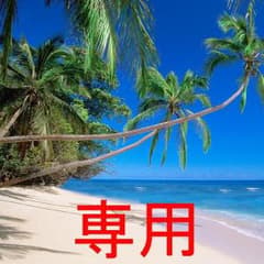 エメラルド様専用ページのサムネイル