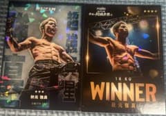 ライコレ　ライコレリアルカード　秋元強真　rizin 秋元強真 RIZIN ライコレ リアルカード - メルカリ
