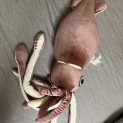 イカ ぬいぐるみのサムネイル