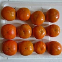 愛知県産 自家製 甘柿 2kgのサムネイル