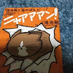 猫のぽんたのサムネイル