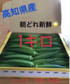 朝どれ新鮮オクラ　約1キロ　残2個のサムネイル