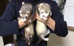 登坂様専用のサムネイル