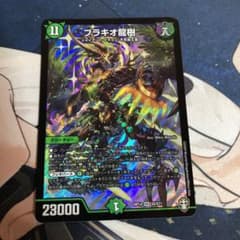 ブラキオ龍樹のサムネイル