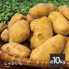 新じゃがいも じゃがいも ばれいしょ 野菜 10kg メークイン - メルカリ