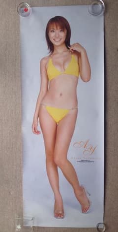 ✨朝比奈彩✨BLT100枚限定直筆サイン、シリアルナンバー入り写真パネル