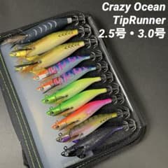 クレイジーオーシャン ティップランナー10本 - メルカリ