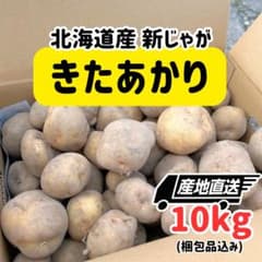 産地直送】北海道産 新じゃが きたあかり 10kg じゃがいも 野菜 - メルカリ