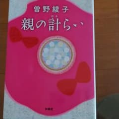 親の計らいのサムネイル
