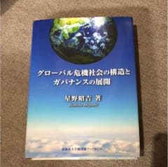 グローバル危機社会の構造とガバナンスの展開のサムネイル
