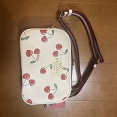 COACH ジェイミー カメラ バッグ ハート チェリー プリント訳ありのサムネイル