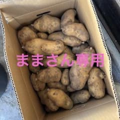 B品野菜のサムネイル
