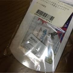 一十木音也 ピアスのサムネイル