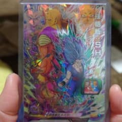孫悟飯:⁠SHのサムネイル