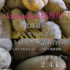 kumachan様専用 北海道産 インカのめざめ デストロイヤー 2.4kgのサムネイル