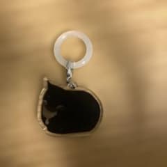 猫ミームめじるしアクセサリーのサムネイル