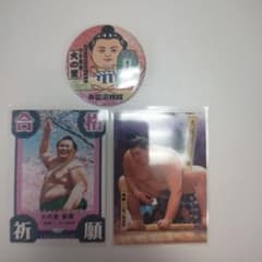大相撲 大の里泰輝 グッズセットのサムネイル