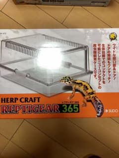新品☆レプティギア365のサムネイル