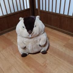 ビーバー ぬいぐるみのサムネイル