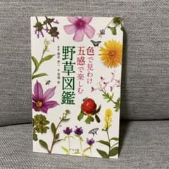 色で見わけ五感で楽しむ野草図鑑のサムネイル