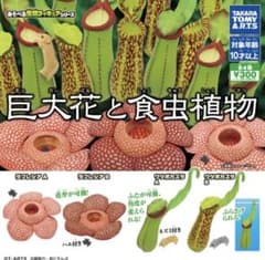 巨大花と食虫植物 カプセルトイのサムネイル