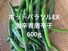 激辛青唐辛子 600g ホットパラソルEX - メルカリ