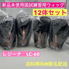 新品未使用 カットウィッグ カットマネキン　国家試験 レジーナ LC-60 新品未使用 カットウィッグ カットマネキン 国家試験 レジーナ LC-60
