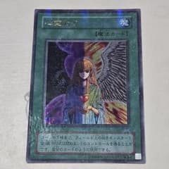 m80522010056_1.jpg?1718074514