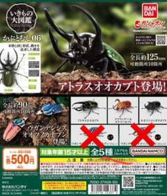 いきもの大図鑑 かぶとむし06 ３種のサムネイル