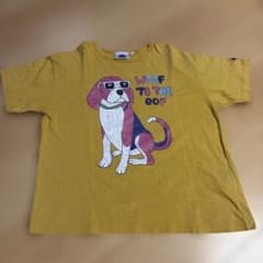 MULGA 犬イラスト Tシャツ マスタードのサムネイル
