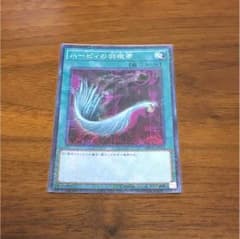 ハーピィの羽根箒のサムネイル
