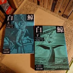 白鯨 上巻 下巻 / メルヴィル 翻訳:阿部知二 / 岩波文庫 - メルカリ