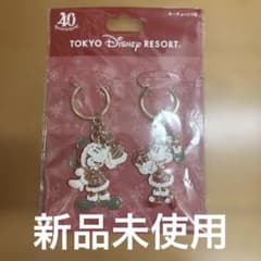 東京ディズニーリゾート 40周年 クリスマス キーチェーン 2個セットのサムネイル