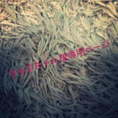 ちゅぶちゃん様専用ページのサムネイル