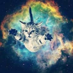 きぃさんのサムネイル