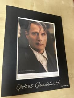 ファンタスティック・ビースト ゲラート・グリンデルバルド フォトのサムネイル
