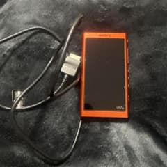 SONY ウォークマン NW-A55 USBケーブル付きのサムネイル