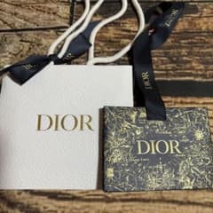 DIOR ショップ袋 2点セットのサムネイル