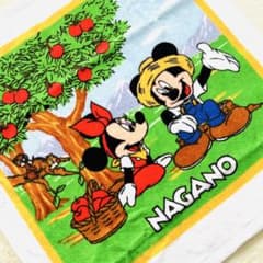 한정 NAGANO 미키 미니 핸드 타올