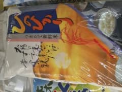 20kg 新米 熊本県産 ひのひかり 10kg つきたて新鮮米 精米 令和7年産 