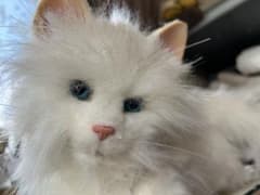 夢ねこ 初代 動作未確認 平成 - メルカリ