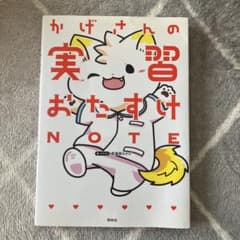 かげさんの実習おたすけノートのサムネイル