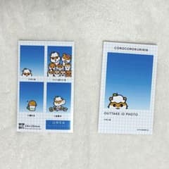 サンリオキャラクター 証明写真 コロコロクリリンのサムネイル