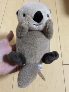 ぽちゃまる　鳥羽水族館　ぬいぐるみのサムネイル