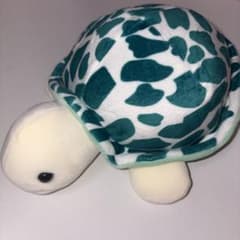 カメ ぬいぐるみのサムネイル