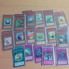 遊戯王ナチュルデッキのサムネイル