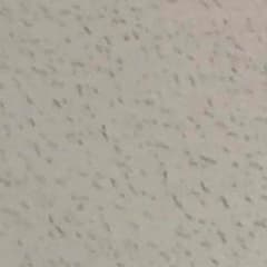 専用のサムネイル