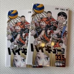 ハイキュー!! 33.5巻 音駒番外編 2冊セットのサムネイル